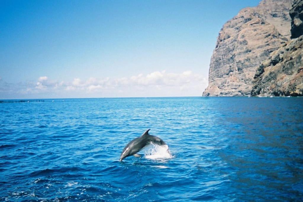 Vacanze Da Sogno Сан Мигель Экстерьер фото
